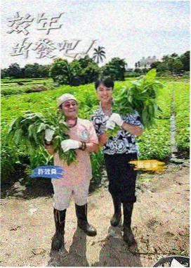 一起去露营吧 综艺免费观看